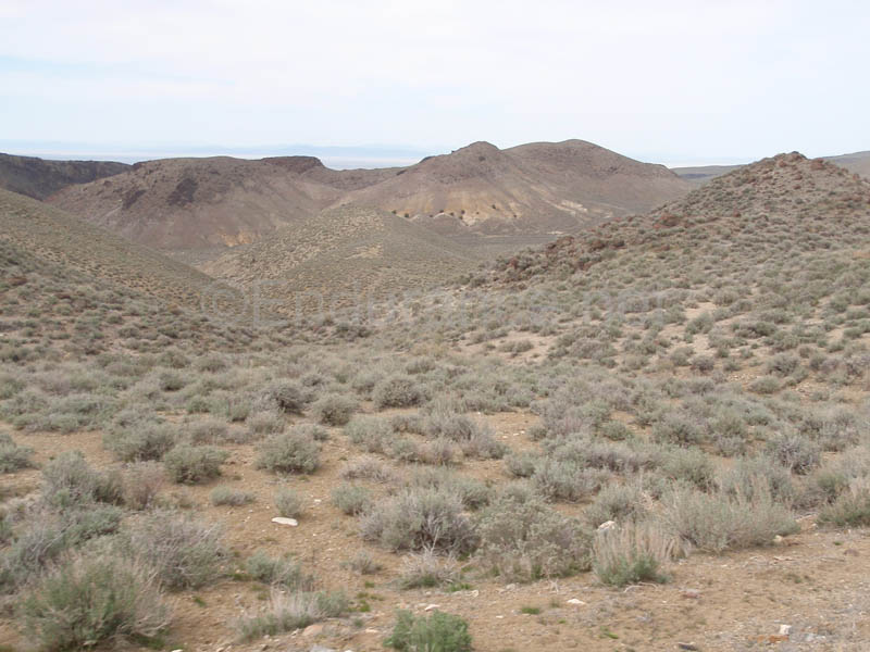 1004HDC_181