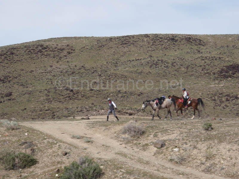 1004HDC_191