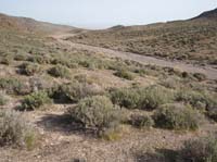 1004HDC_104