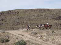 1004HDC_191
