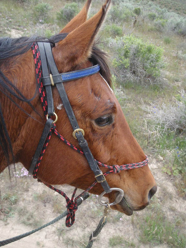 P4300277