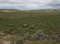P4300238