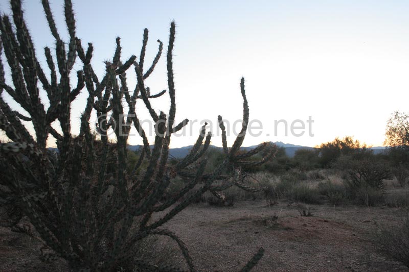 1012AZ_020