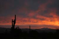 1012AZ_037