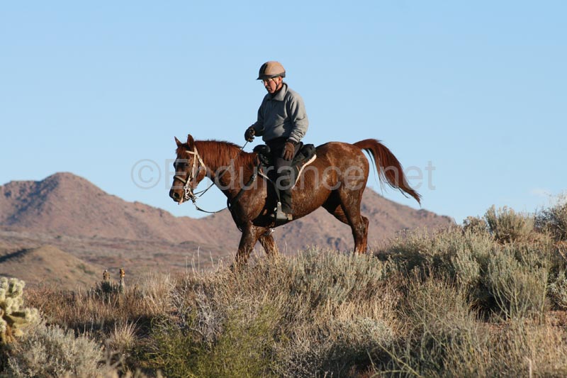 1012ResR_0587