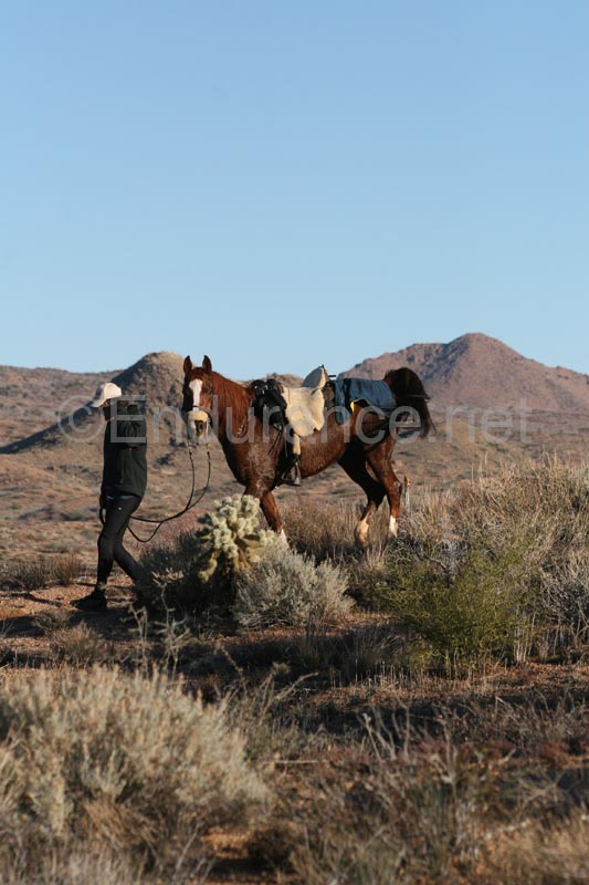 1012ResR_0607