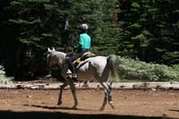 1007Tev_065
