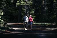 1007Tev_072