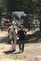 1007Tev_263