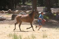 1007Tev_294