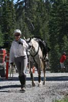 1007Tev_494