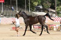 1007Tev_831