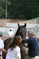 1007Tev_834