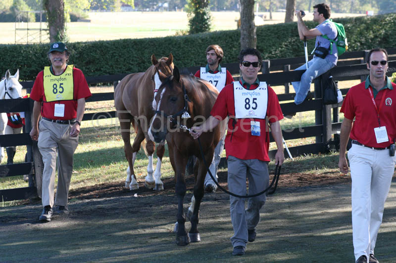 1009WEC_0099