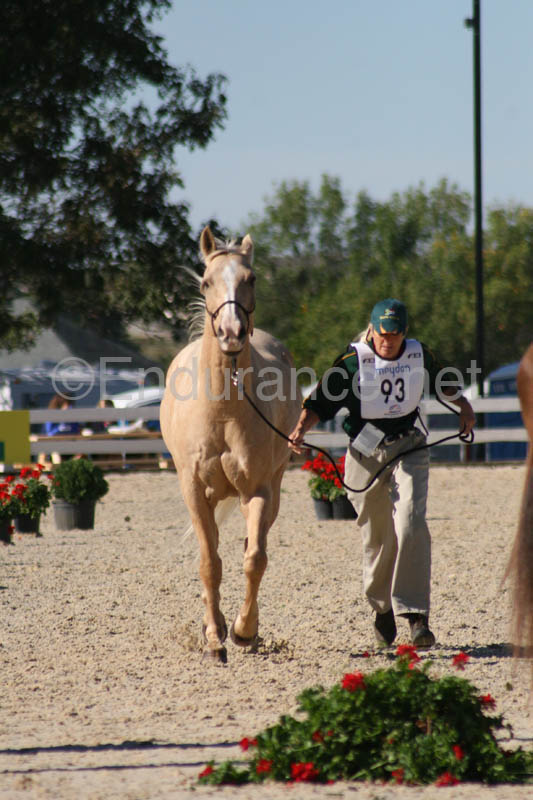 1009WEC_0117