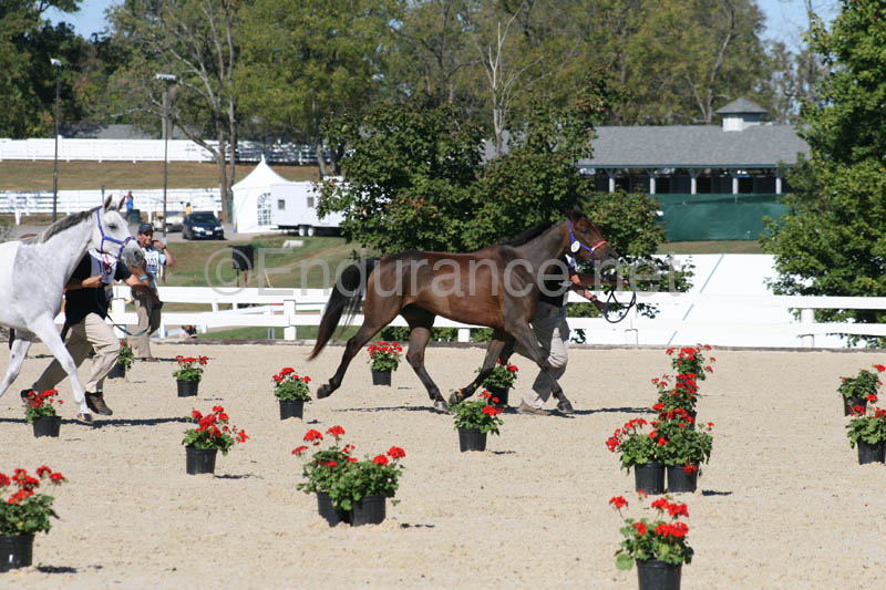 1009WEC_0171