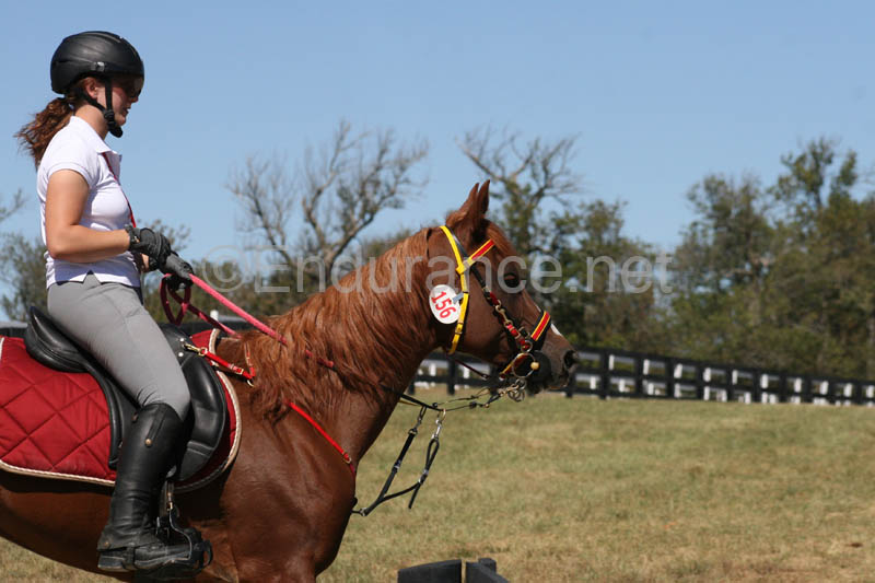 1009WEC_0258
