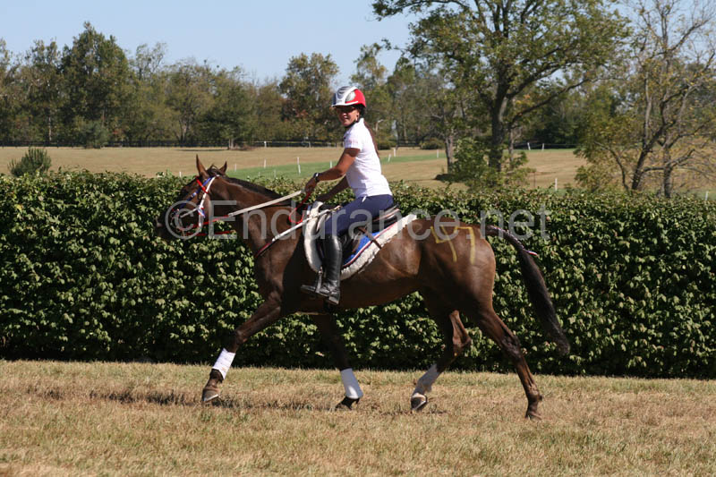 1009WEC_0354