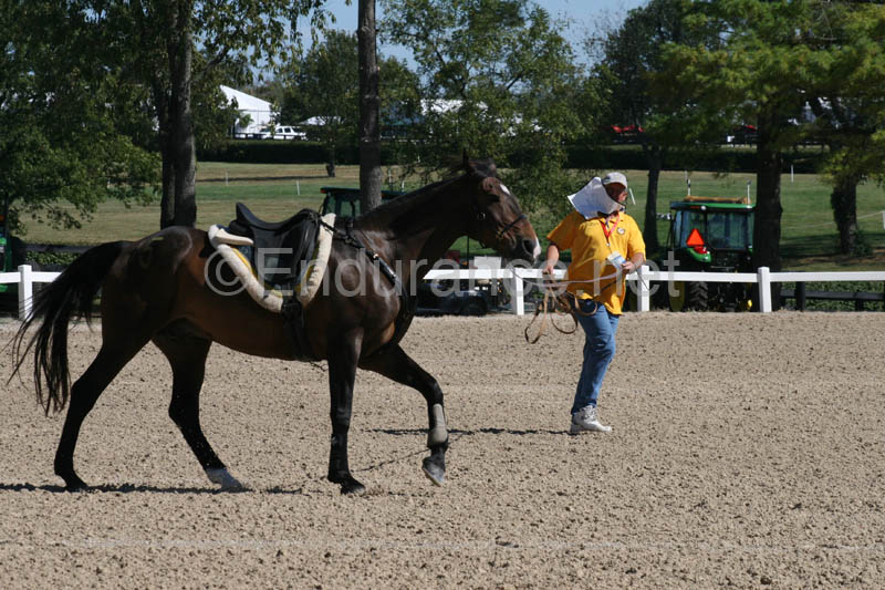 1009WEC_0362