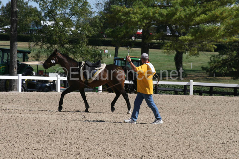 1009WEC_0363