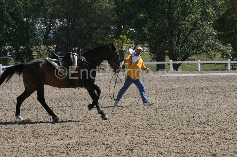 1009WEC_0364