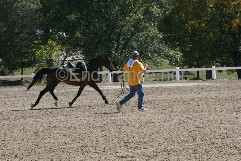 1009WEC_0367