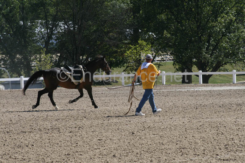 1009WEC_0368