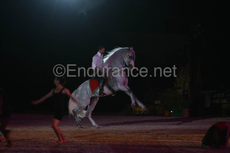 1009WEC_0647