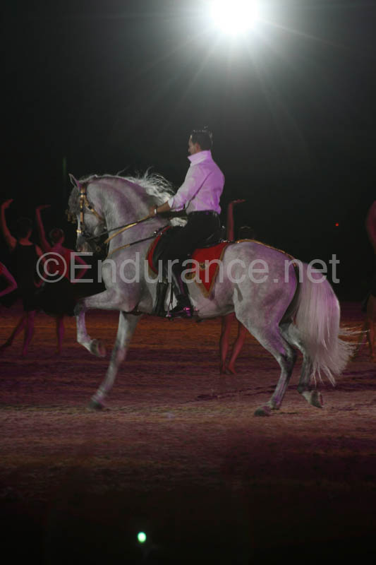 1009WEC_0649