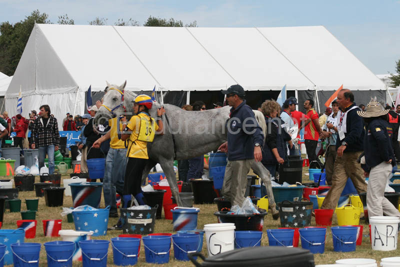 1009WEC_1140
