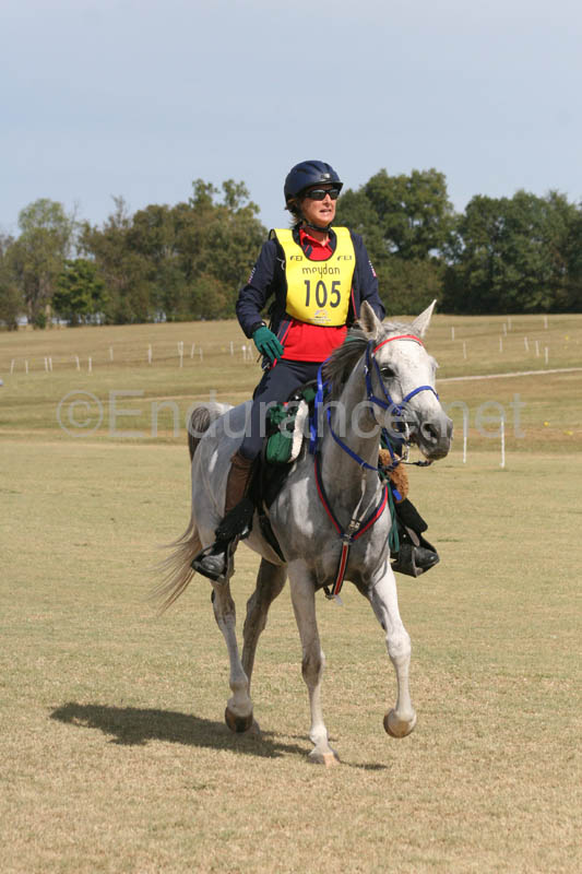 1009WEC_1213
