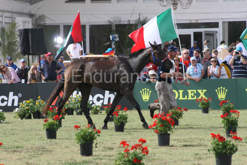 1009WEC_1231