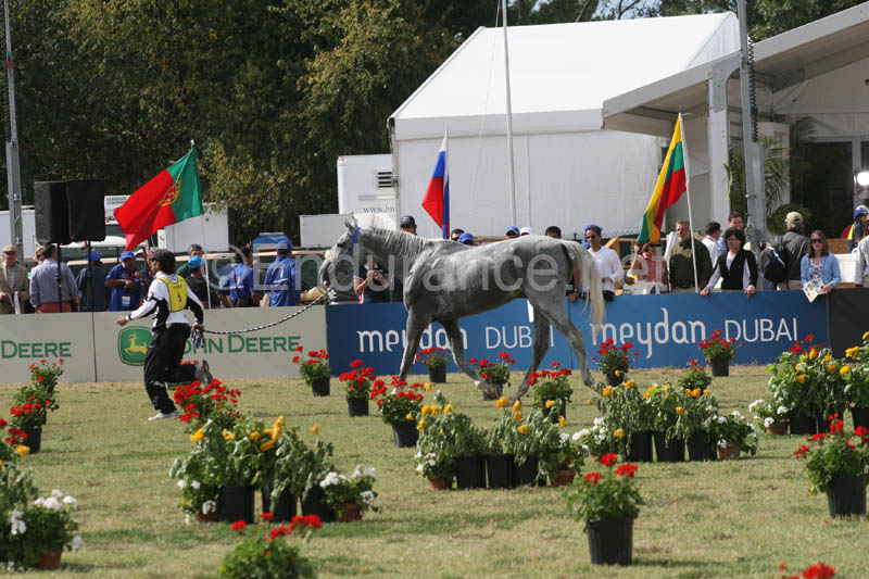 1009WEC_1239