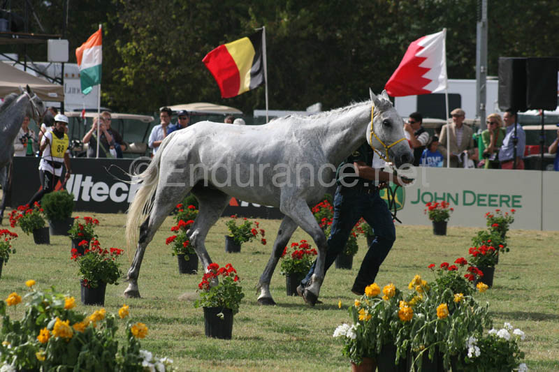 1009WEC_1244