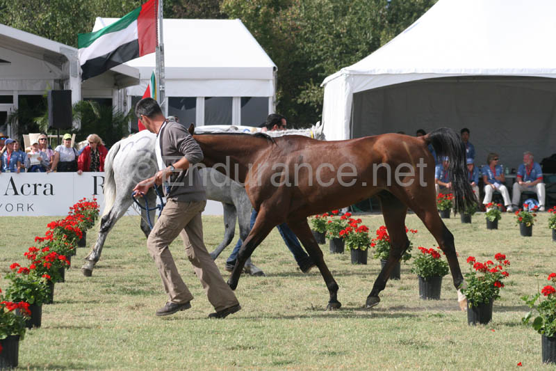 1009WEC_1245