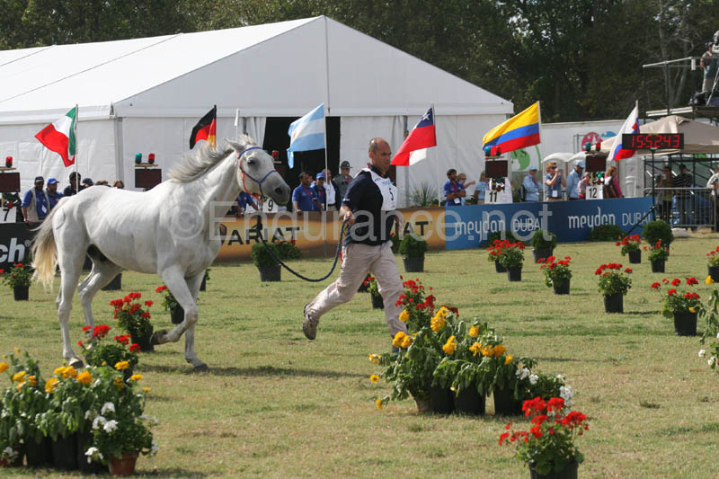 1009WEC_1249