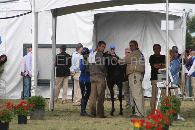 1009WEC_1271