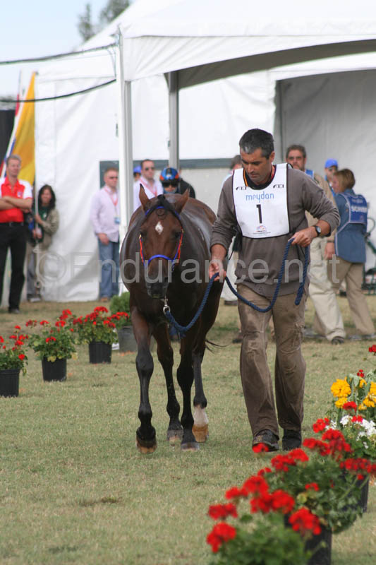 1009WEC_1273