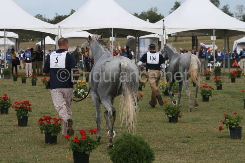 1009WEC_1281