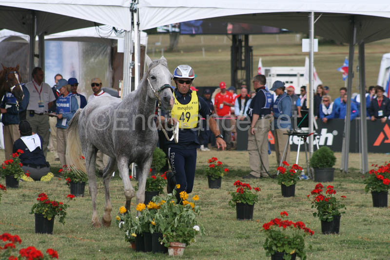 1009WEC_1284