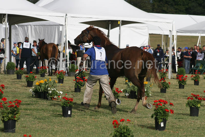 1009WEC_1287