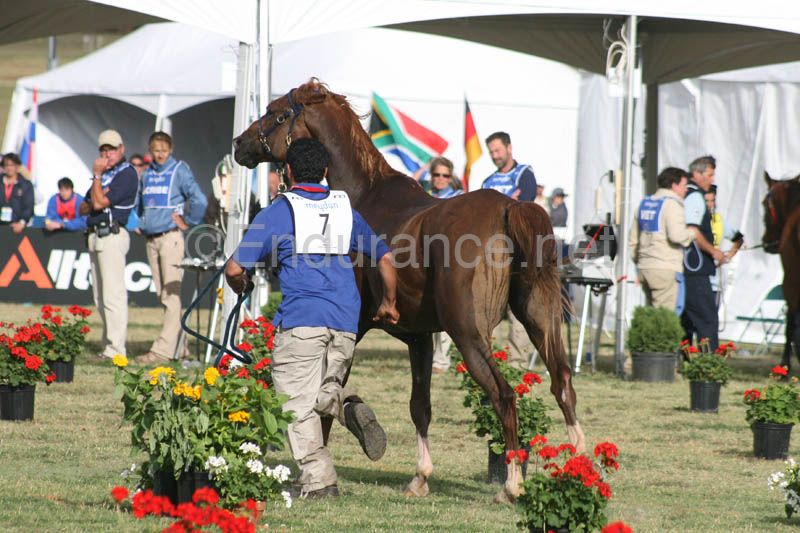1009WEC_1288