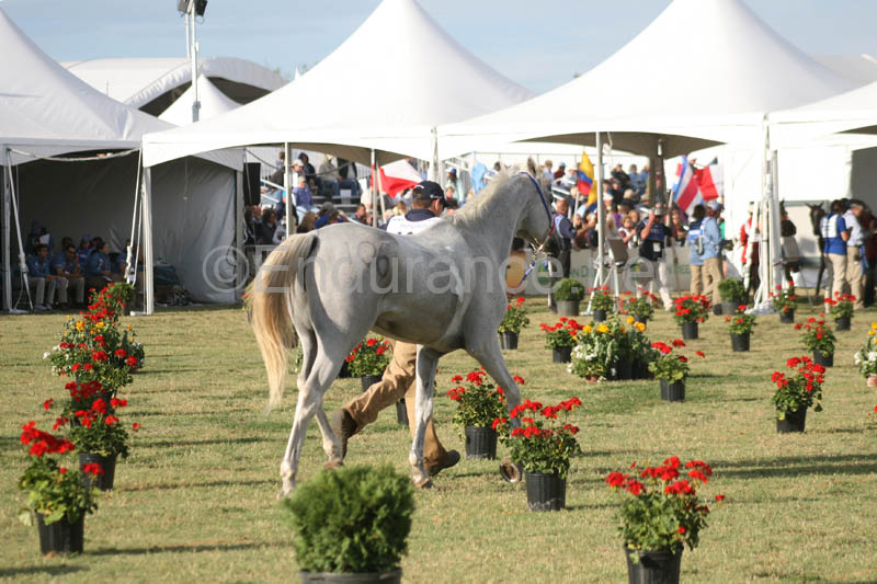 1009WEC_1294