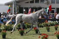 1009WEC_1243