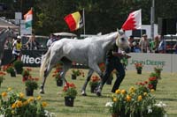 1009WEC_1244