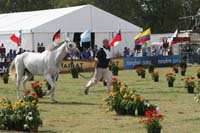 1009WEC_1249