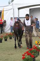 1009WEC_1273