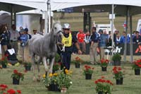 1009WEC_1284
