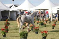 1009WEC_1294