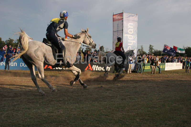 1009WEC_1114